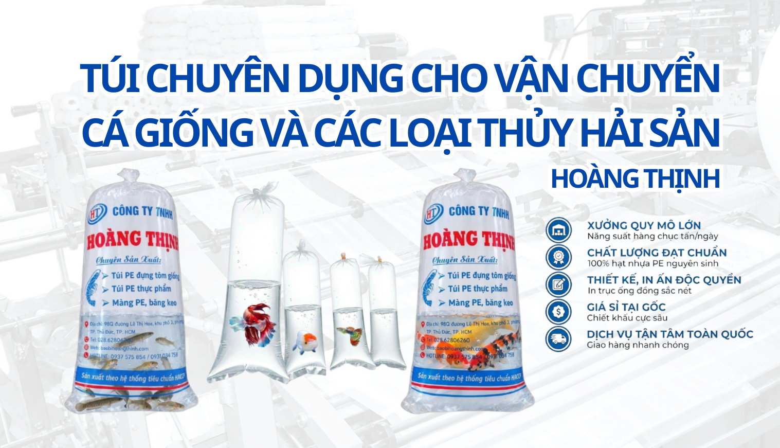 TÚI ĐỰNG CÁ GIỐNG Giải Pháp Đóng Gói, Vận Chuyển Cá An Toàn & Hiệu Quả